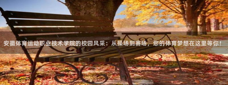 中欧体育ac米兰：安徽体育运动职业技术学院的校园风采：从操场到赛场，您的体育梦想在这里等你！