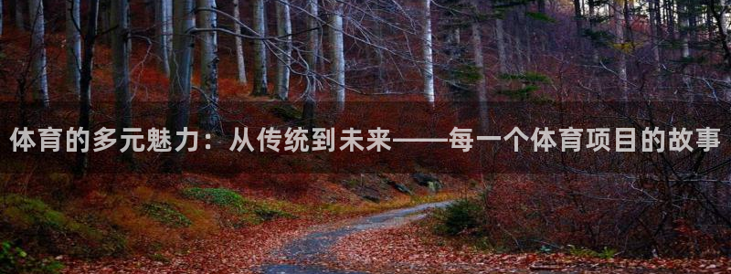 中欧体育网址：体育的多元魅力：从传统到未来——每一个体育项目的故事